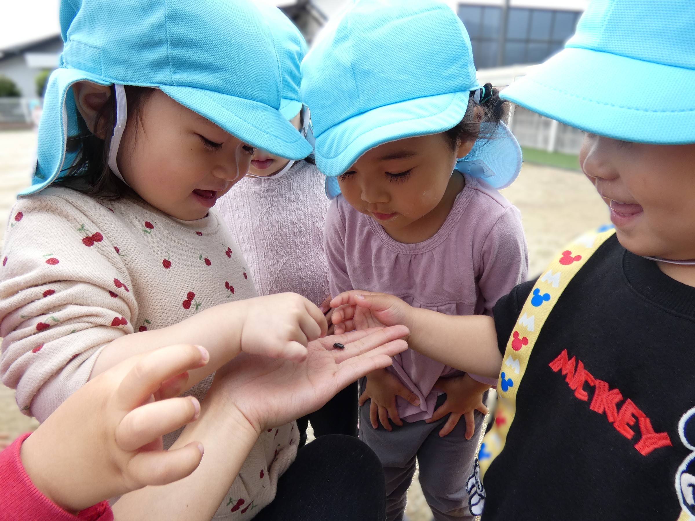 明るく、強く、元気な子どもを育てます
